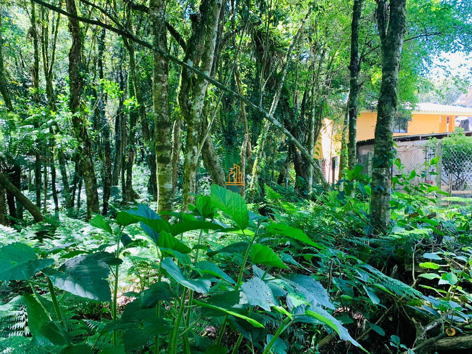 Terreno, 802 m² - Foto 13