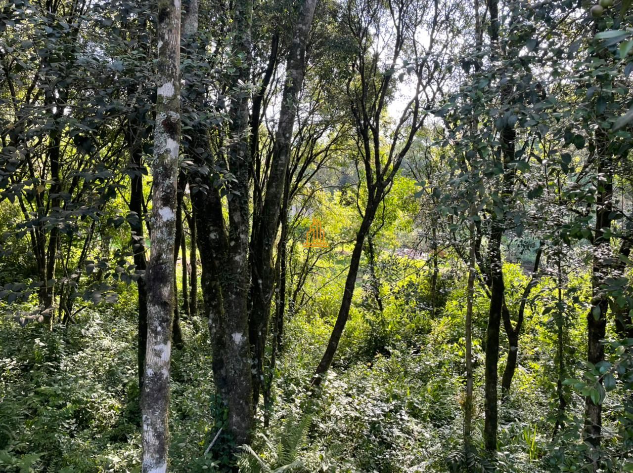 Terreno, 473 m² - Foto 5