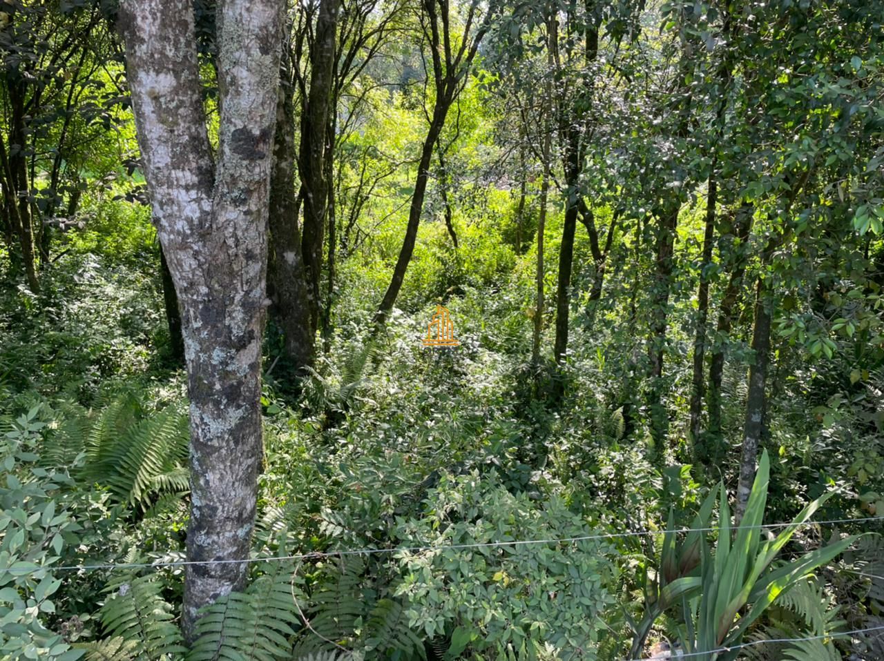 Terreno, 473 m² - Foto 7