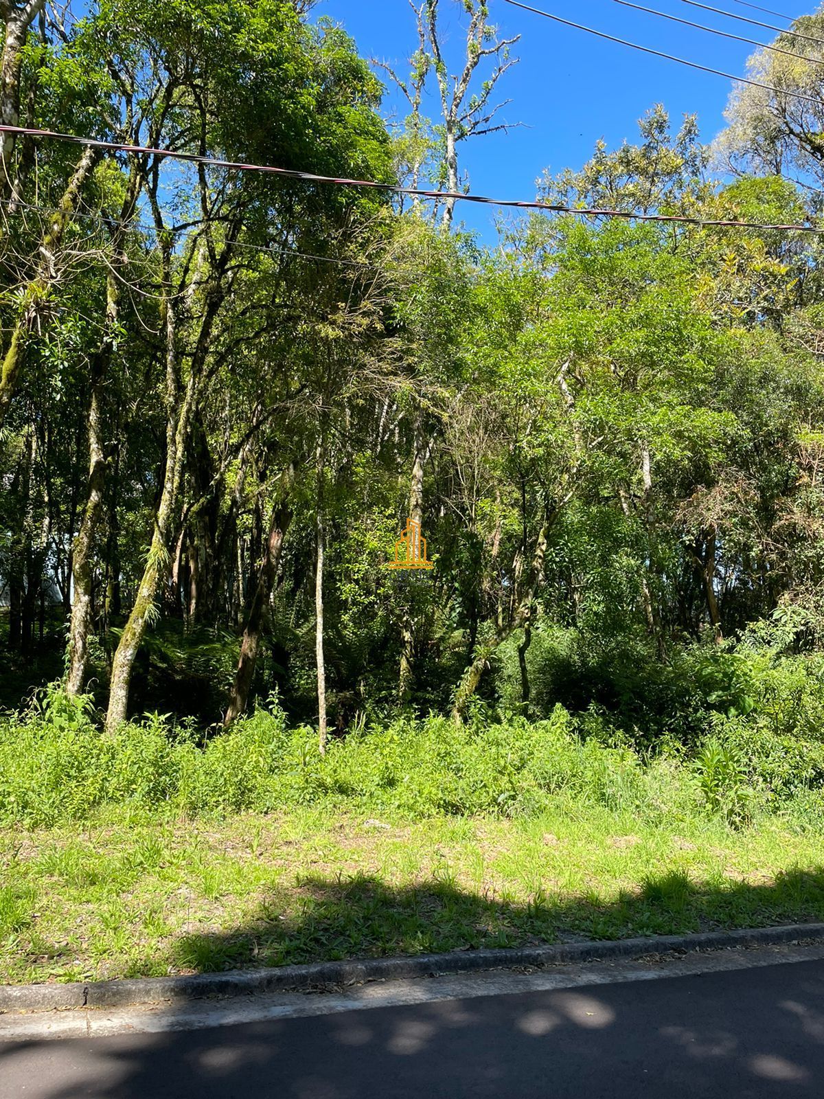 Terreno, 802 m² - Foto 9