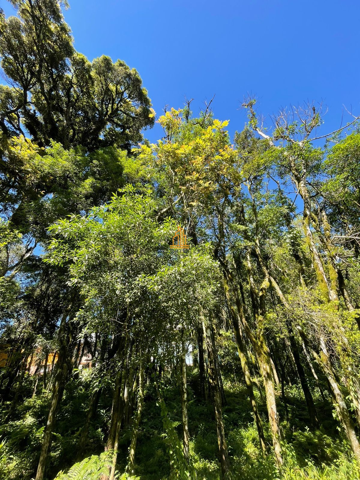 Terreno, 802 m² - Foto 14