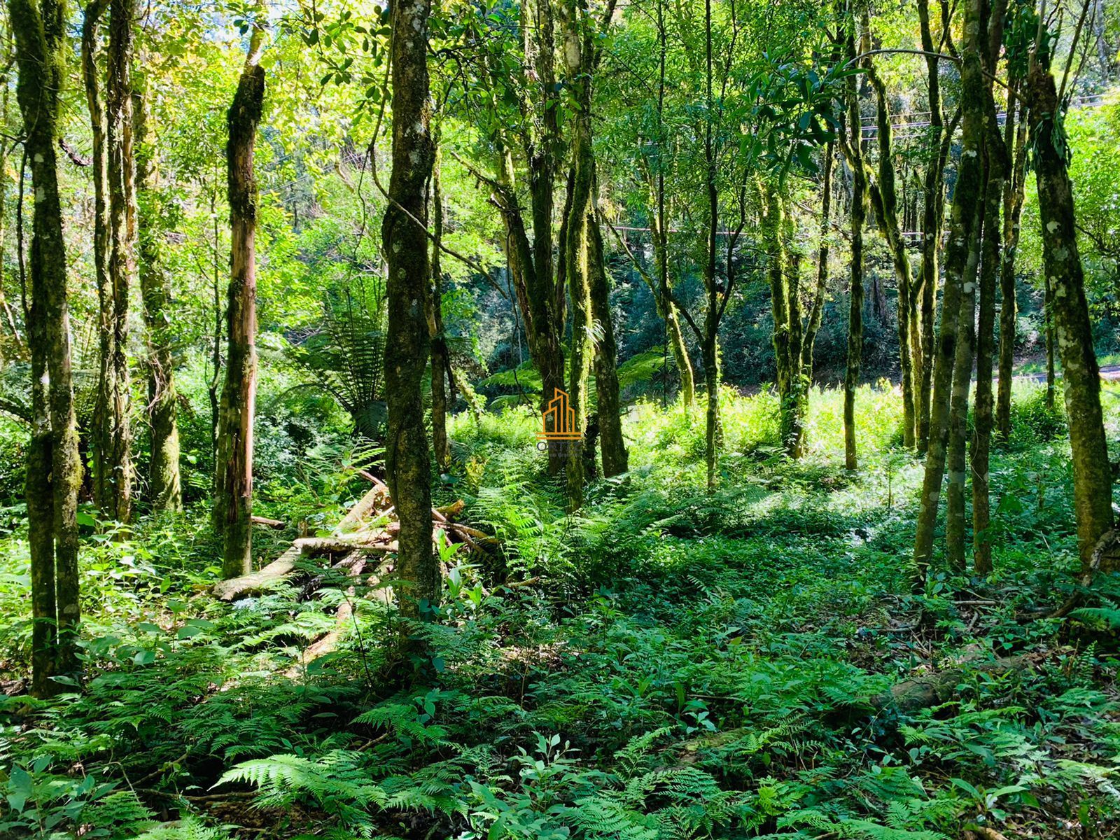 Terreno, 802 m² - Foto 30