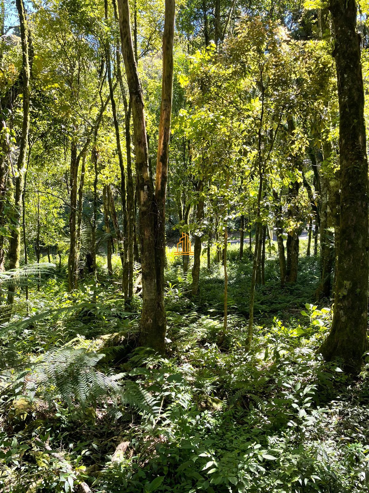 Terreno, 802 m² - Foto 31