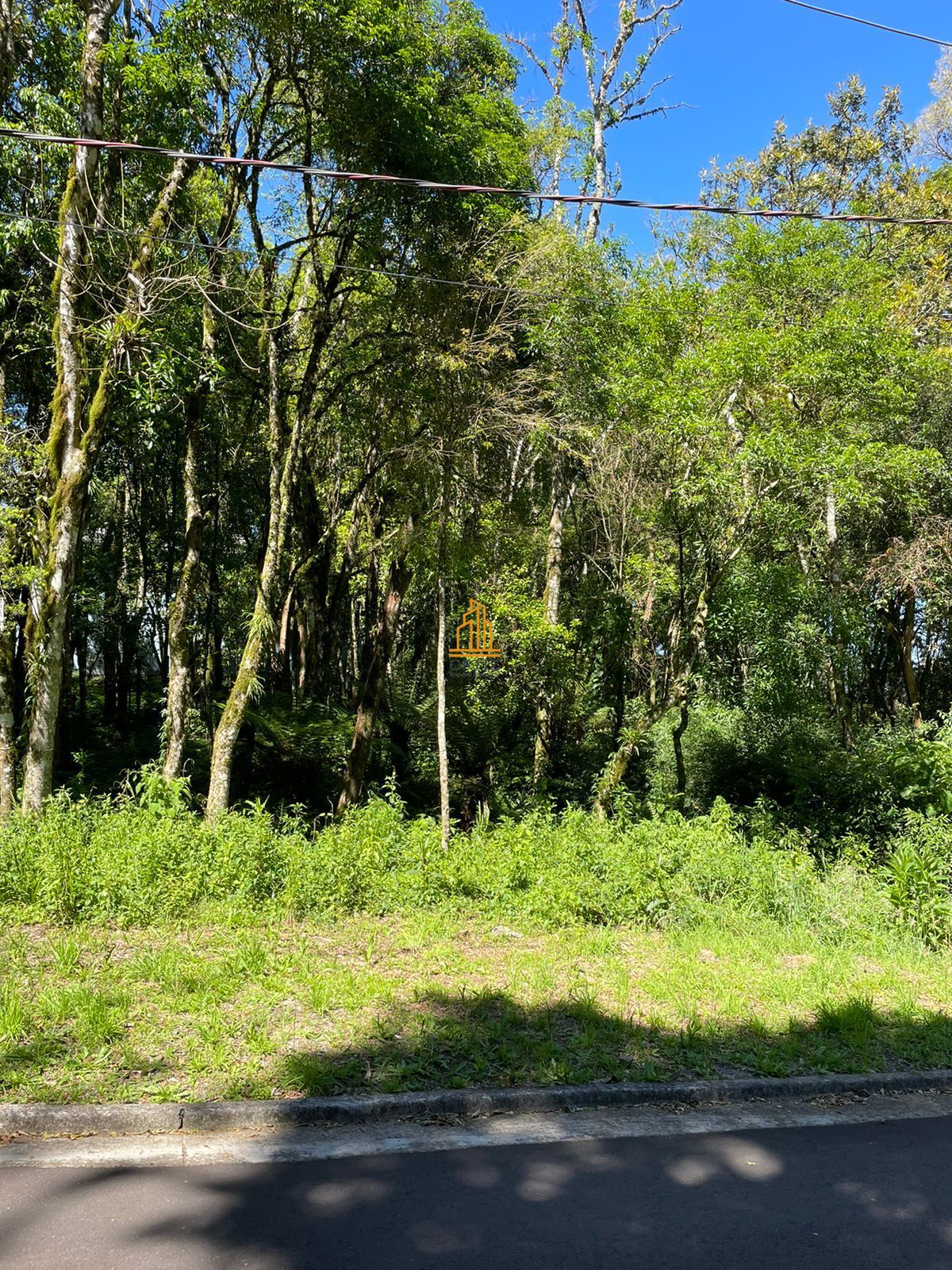 Terreno, 802 m² - Foto 8