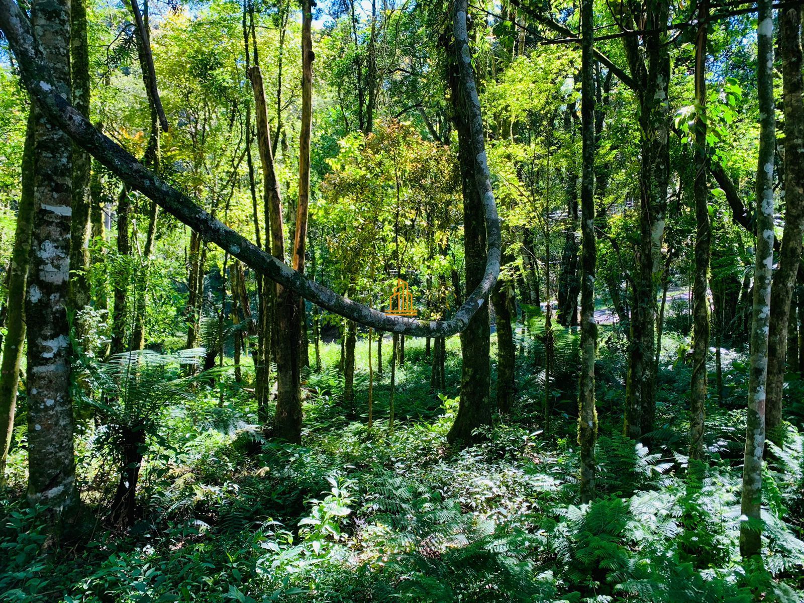 Terreno, 802 m² - Foto 22