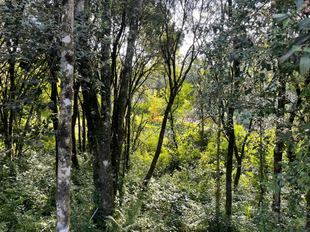 Terreno, 473 m² - Foto 6