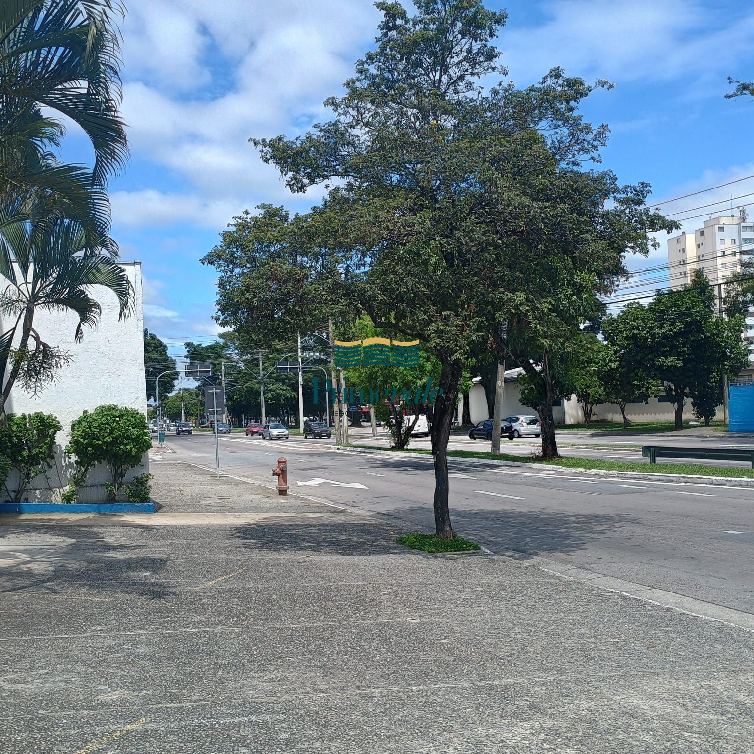 Prédio Inteiro, 300 m² - Foto 4