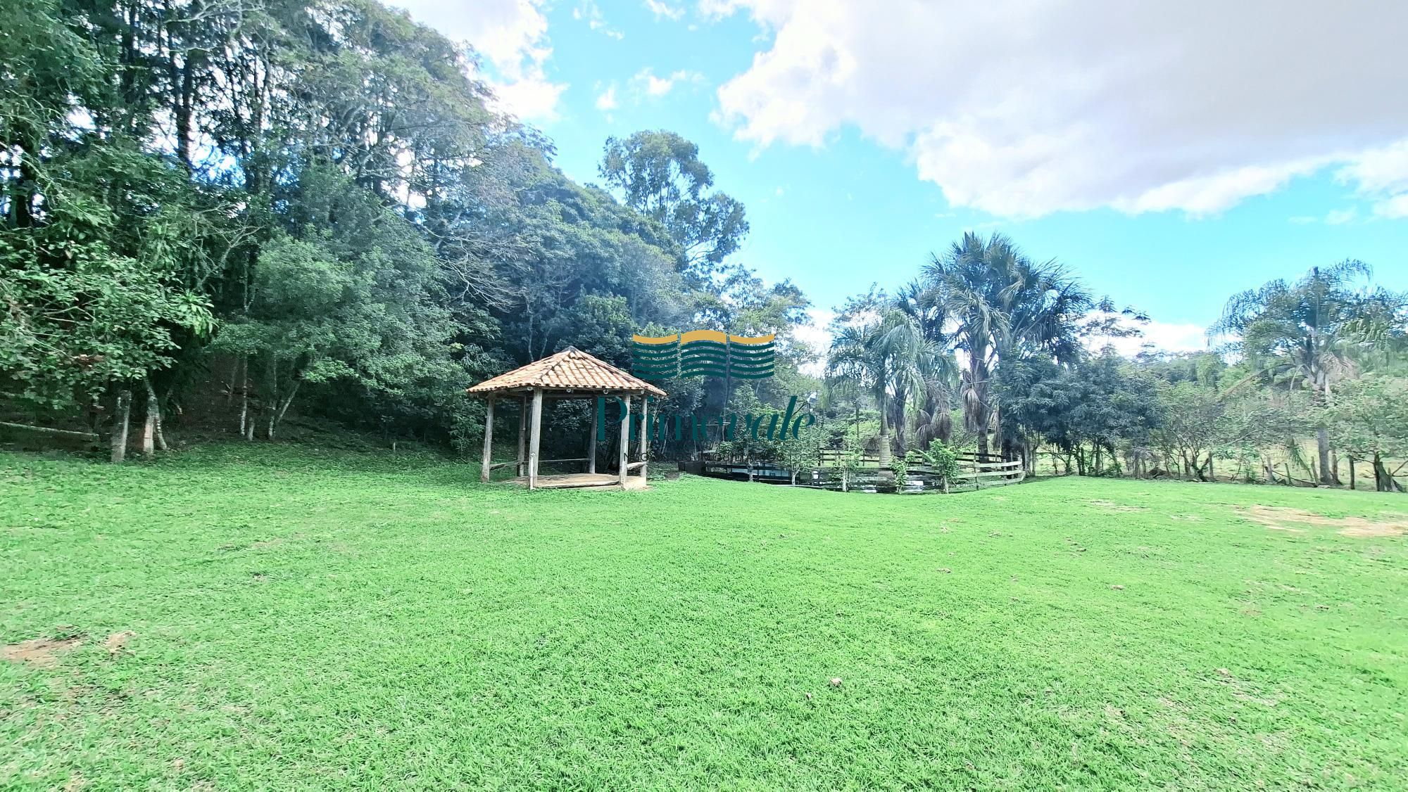 Chácara, 5 quartos, 11 hectares - Foto 13