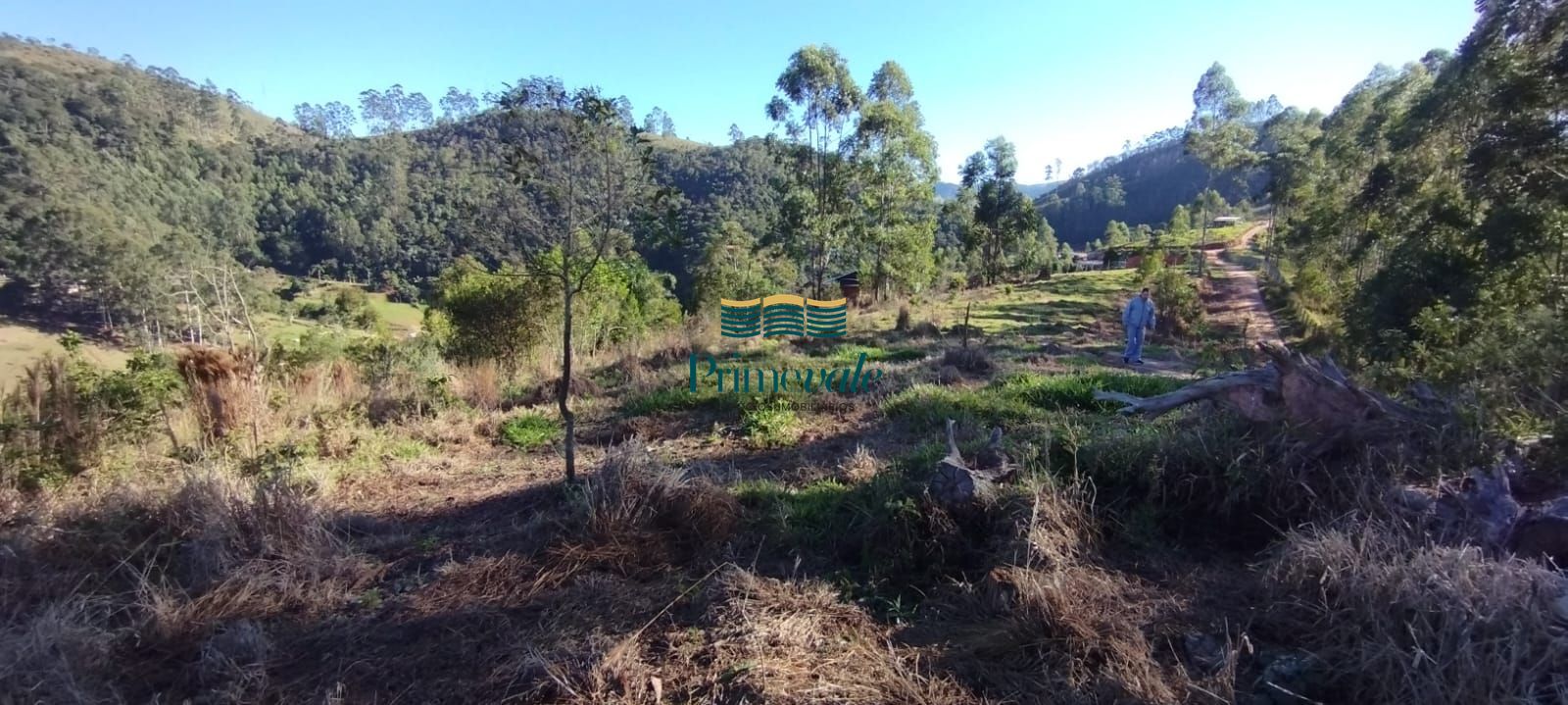 Chácara, 2 hectares - Foto 8
