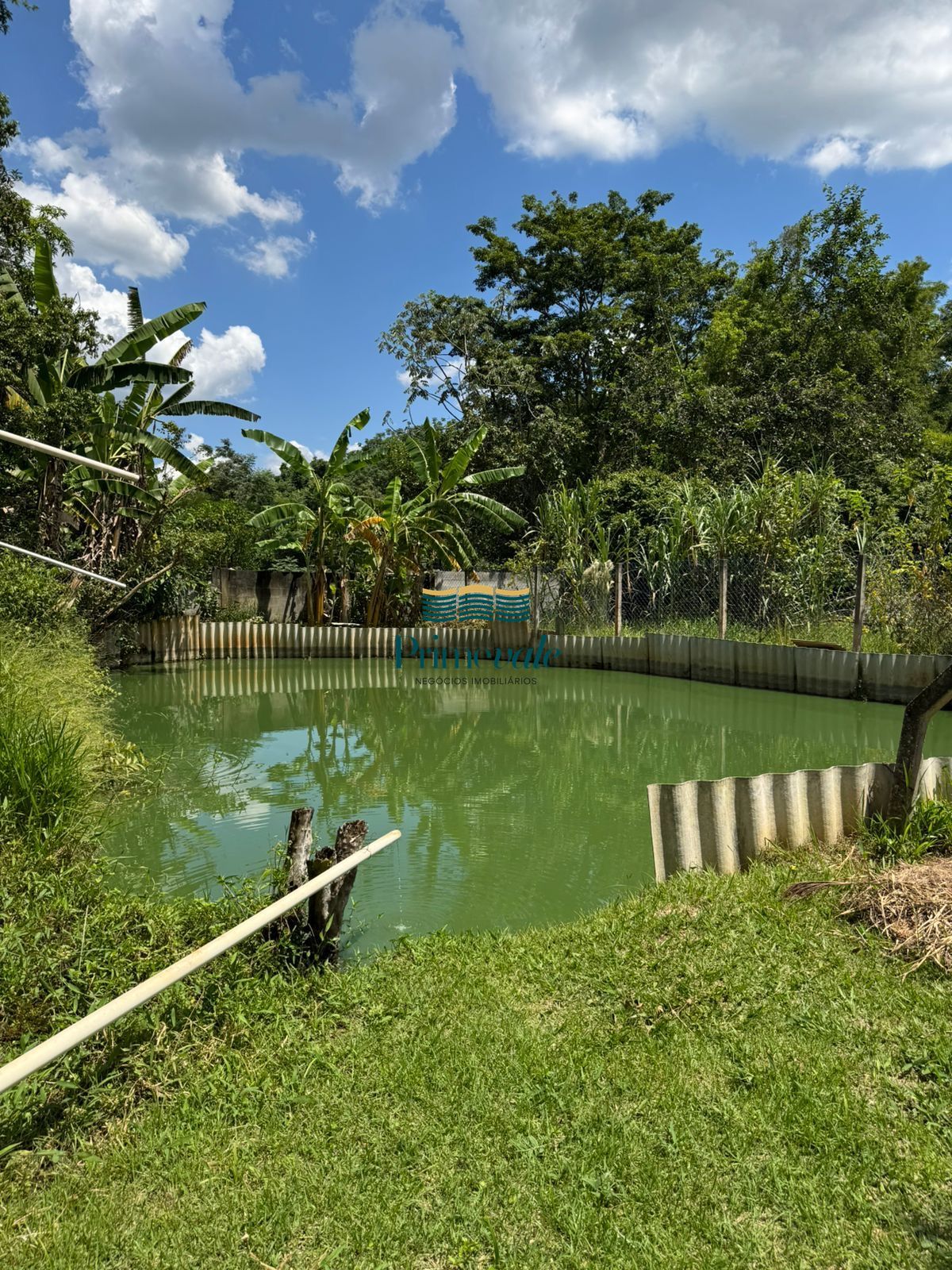 Sítio, 4 quartos, 3500 m² - Foto 1