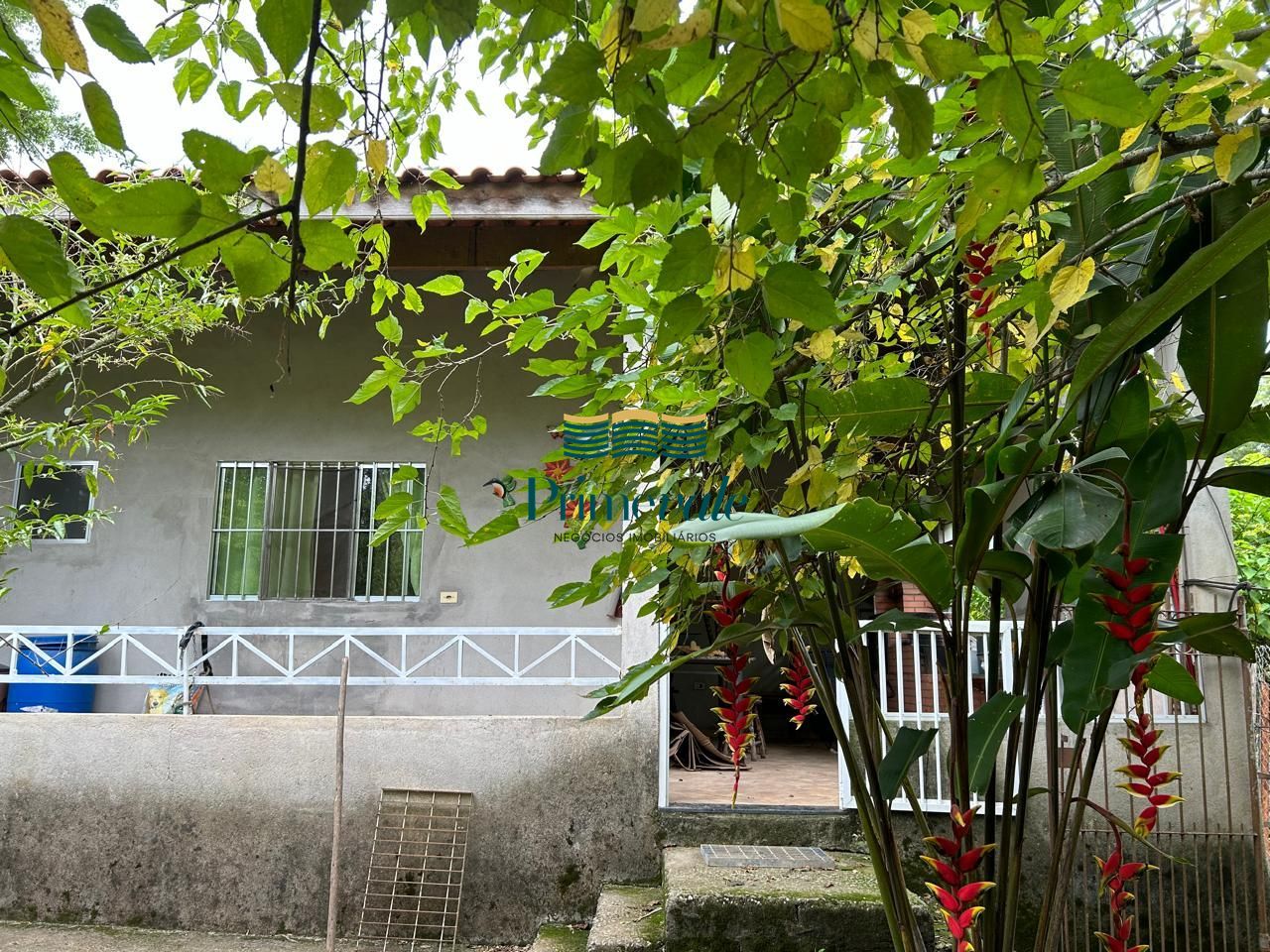 Chácara, 4 quartos, 1534 m² - Foto 11