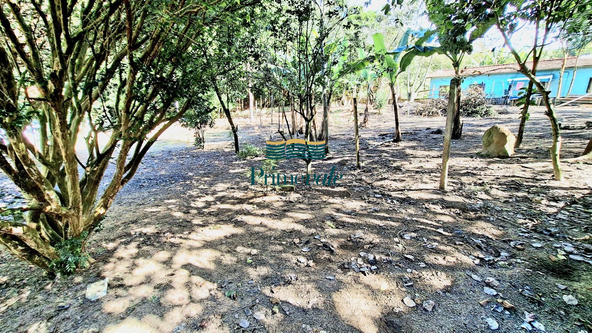 Chácara, 5 quartos, 11 hectares - Foto 30