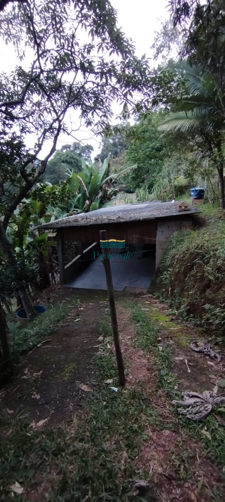 Sítio, 2 quartos, 1000 m² - Foto 10