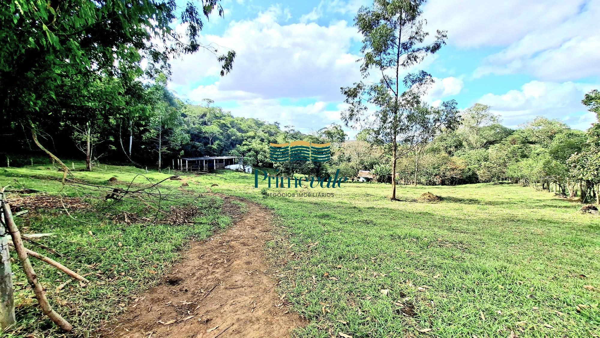 Chácara, 5 quartos, 11 hectares - Foto 61