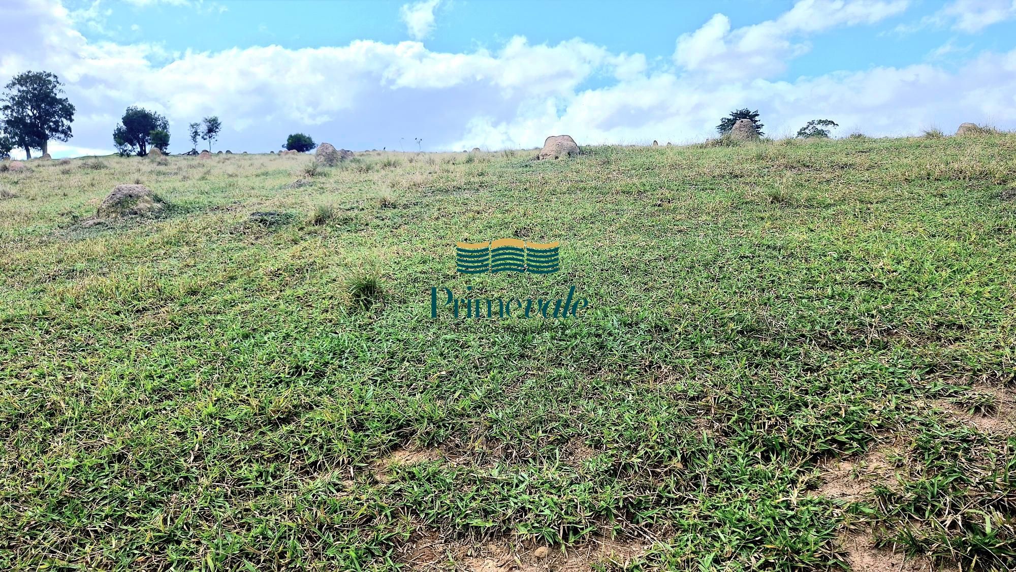 Chácara, 5 quartos, 11 hectares - Foto 47