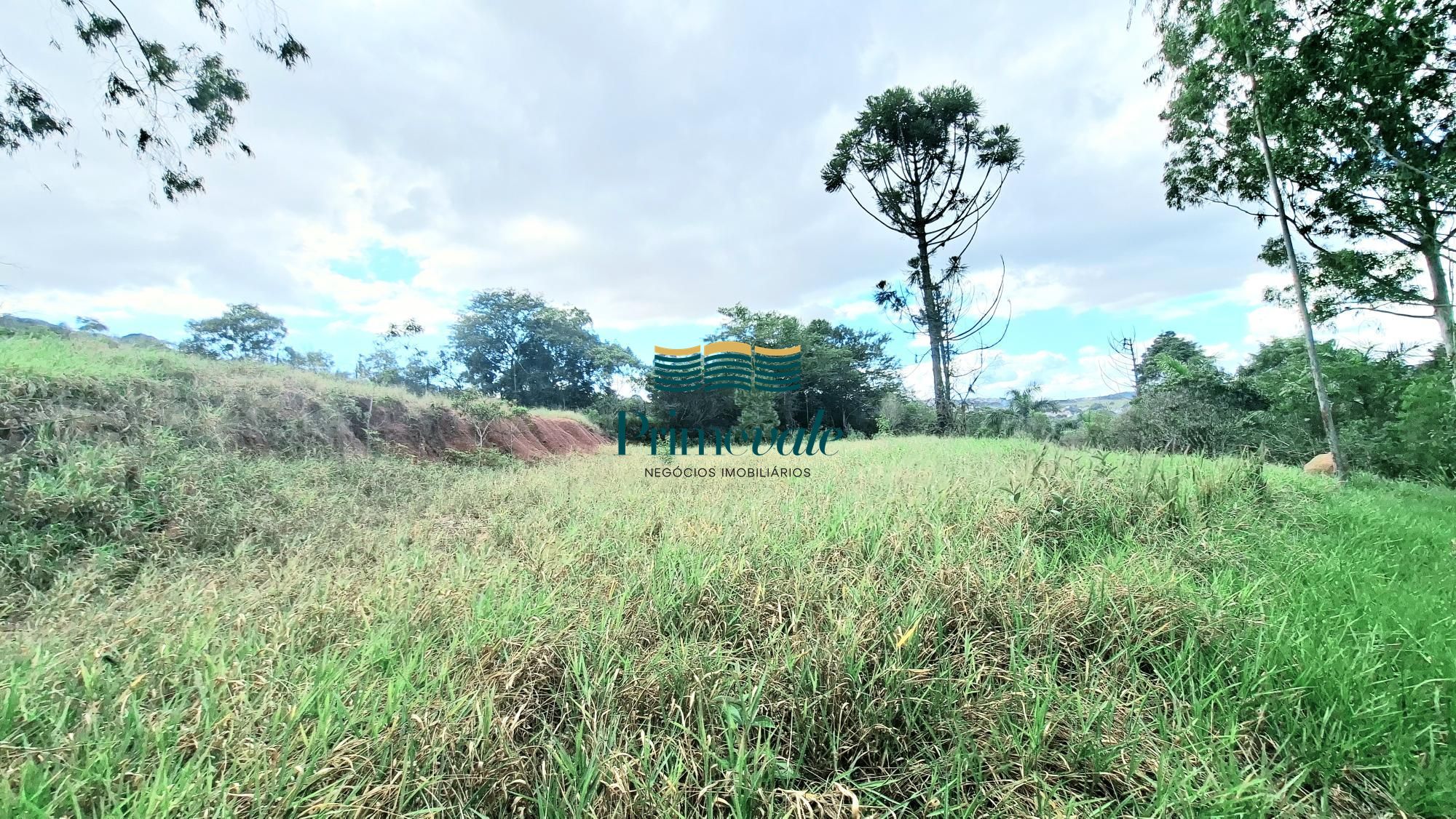 Chácara, 5 quartos, 11 hectares - Foto 22