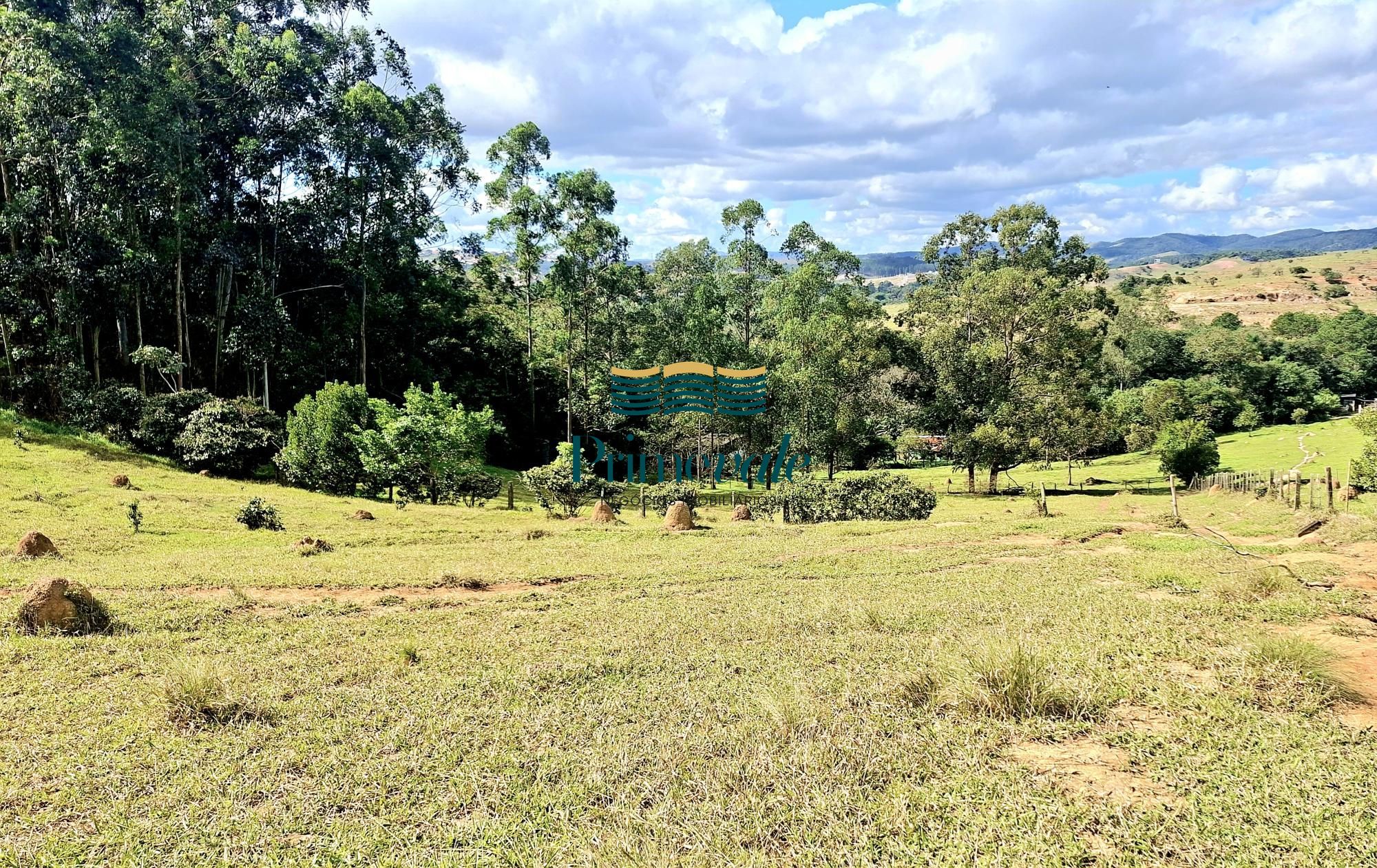 Chácara, 5 quartos, 11 hectares - Foto 44