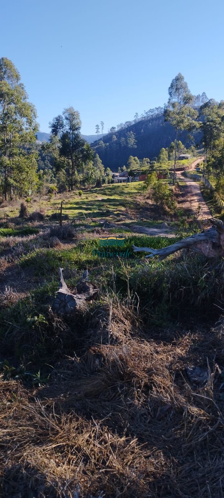 Chácara, 2 hectares - Foto 13