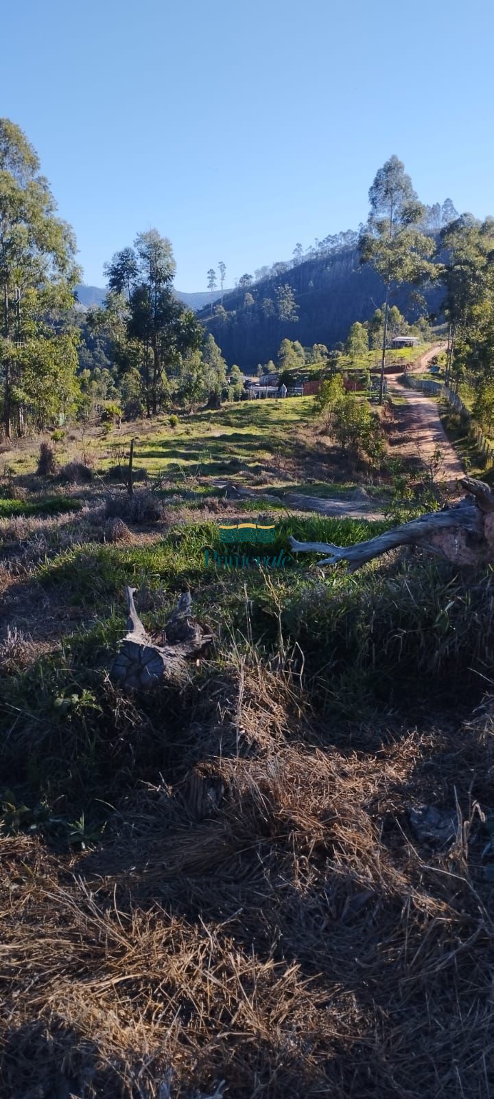 Chácara, 2 hectares - Foto 17