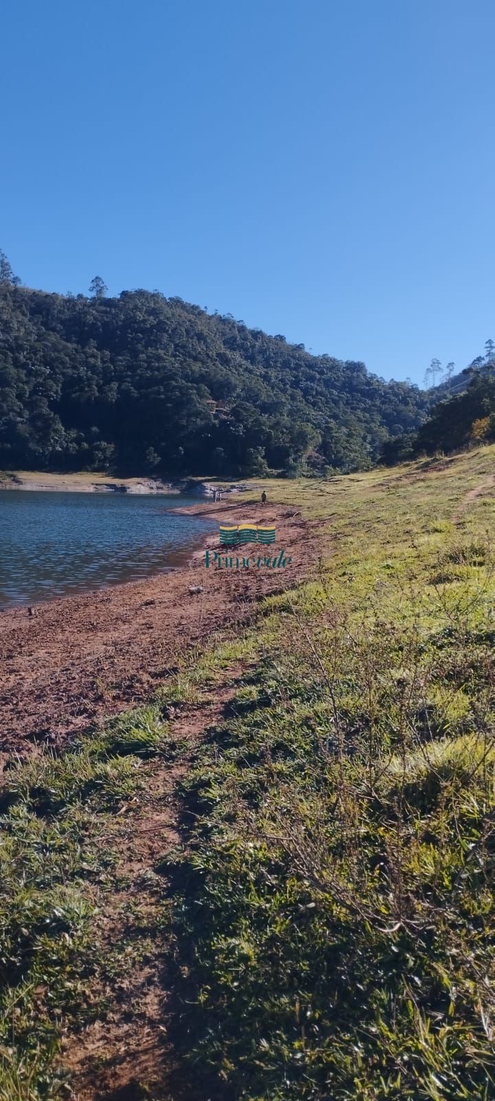 Chácara, 2 hectares - Foto 7