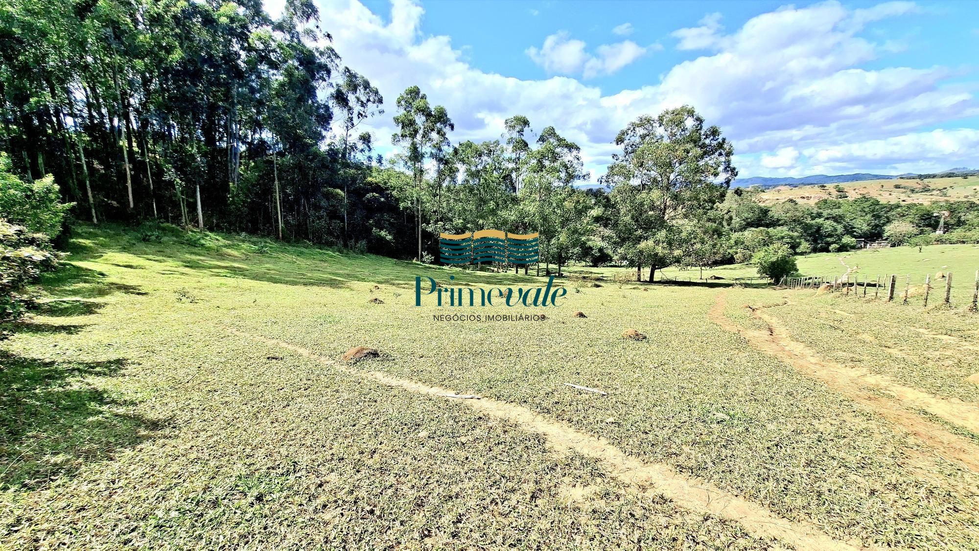 Chácara, 5 quartos, 11 hectares - Foto 43