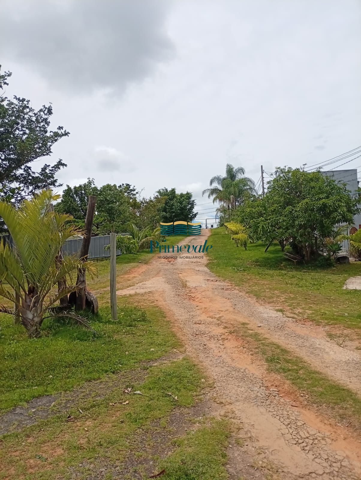 Depósito-Galpão, 850 m² - Foto 4