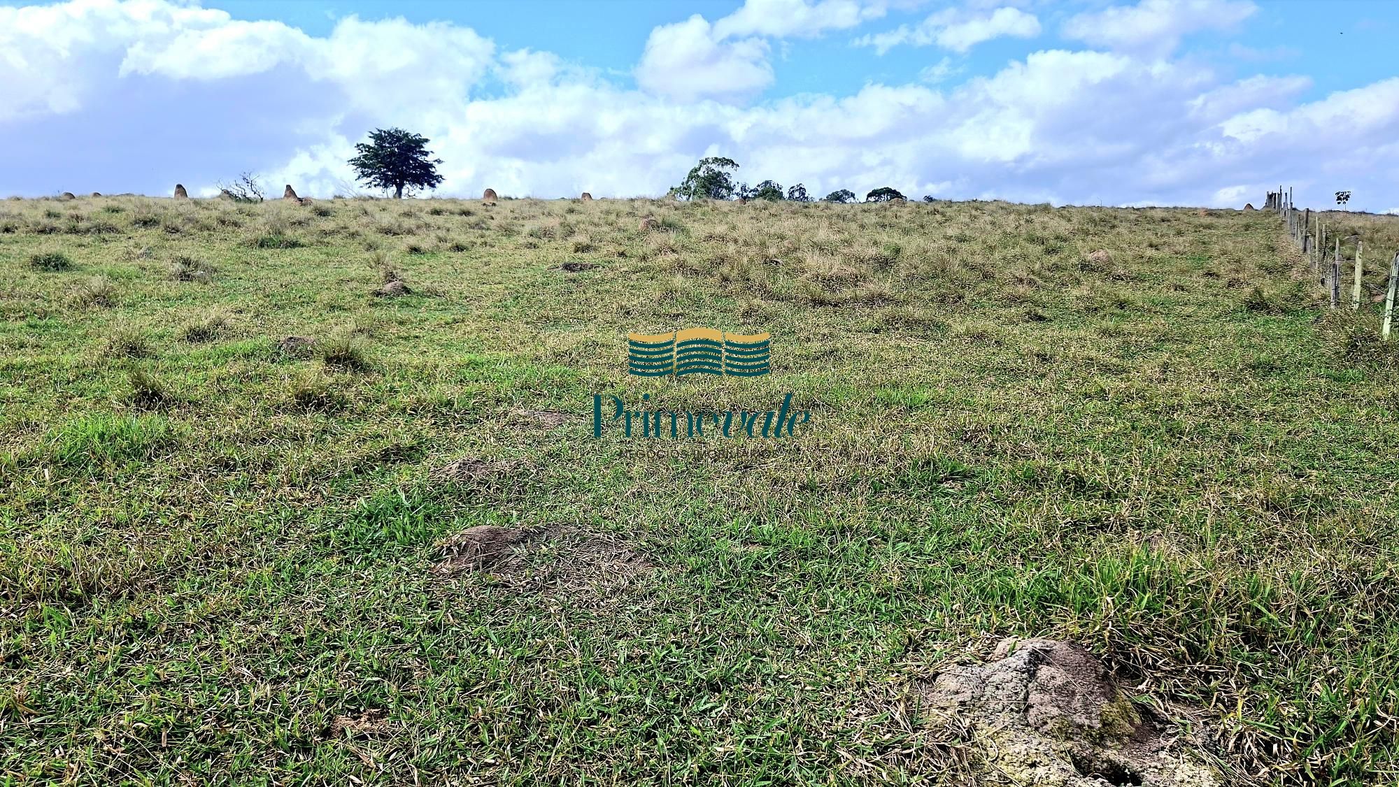 Chácara, 5 quartos, 11 hectares - Foto 46