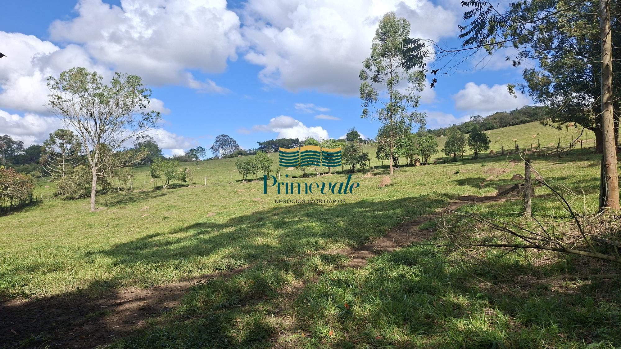 Chácara, 5 quartos, 11 hectares - Foto 36