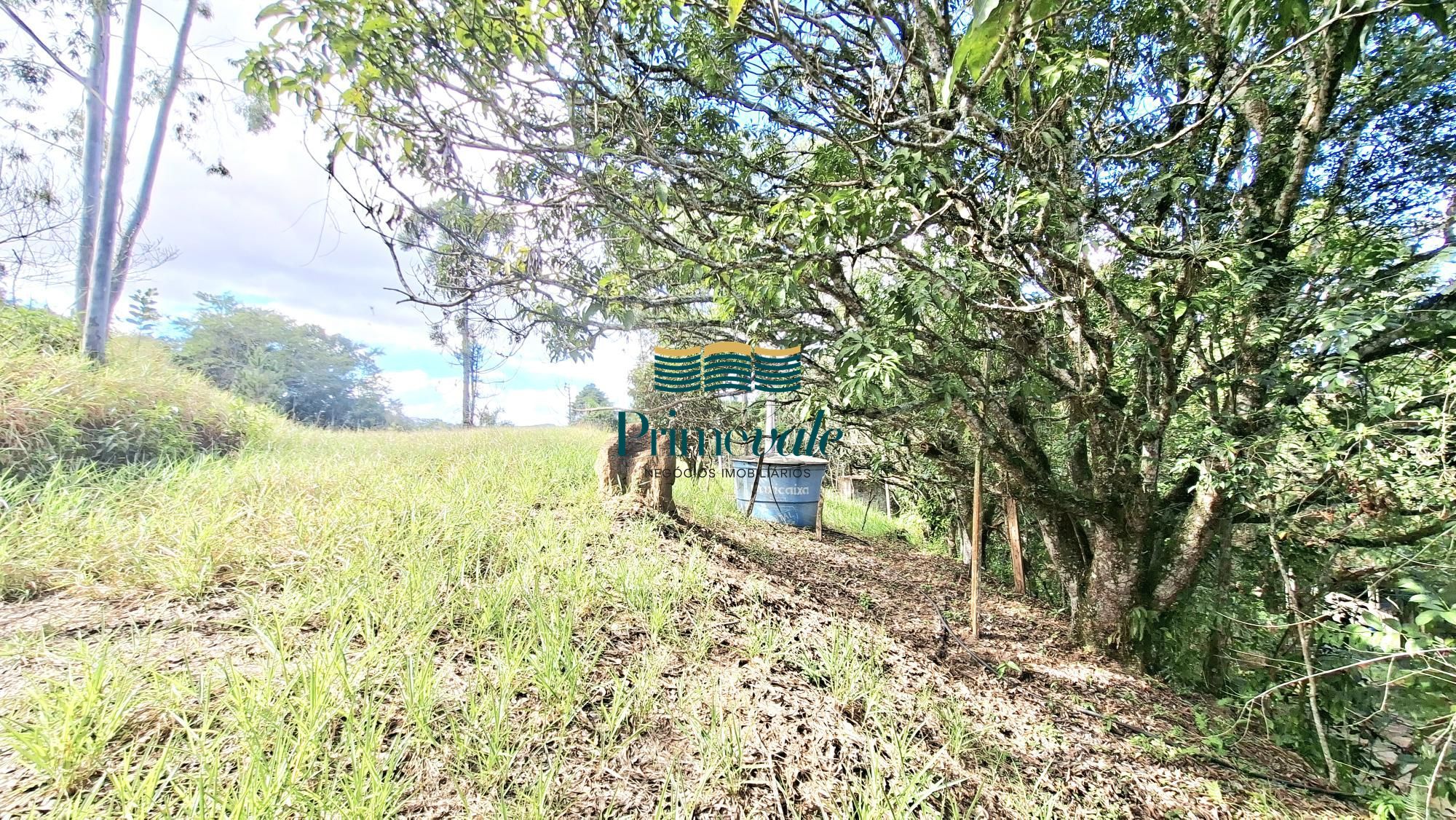 Chácara, 5 quartos, 11 hectares - Foto 27