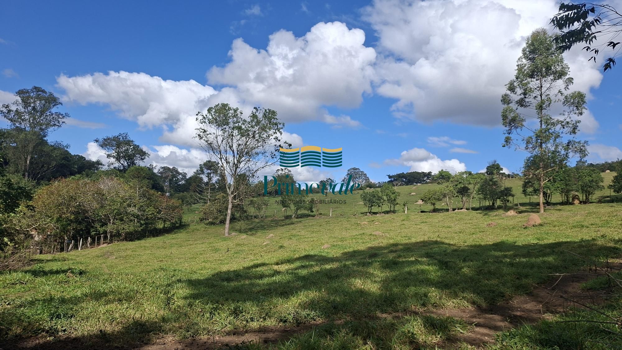Chácara, 5 quartos, 11 hectares - Foto 37