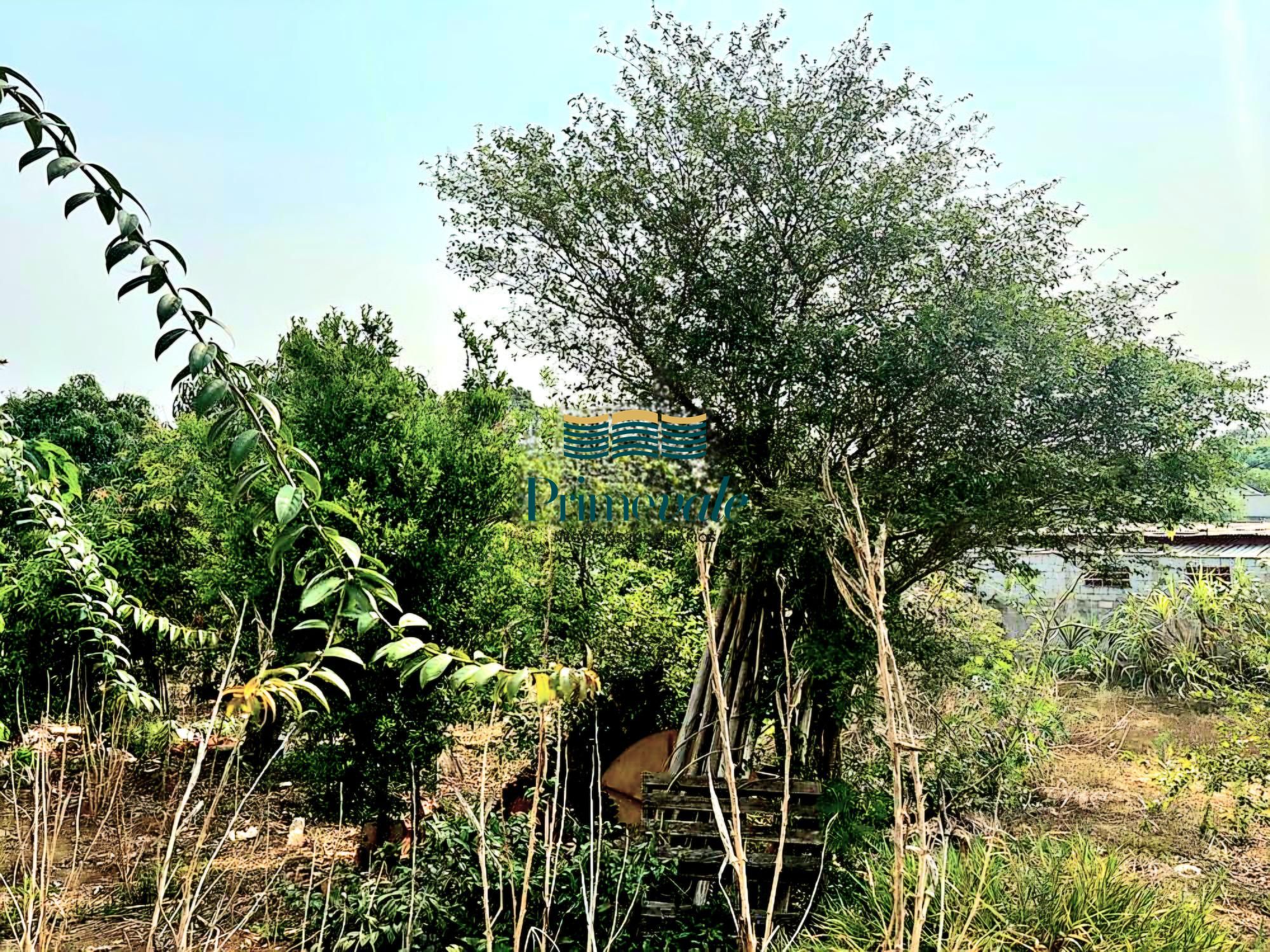 Terreno, 1092 m² - Foto 3