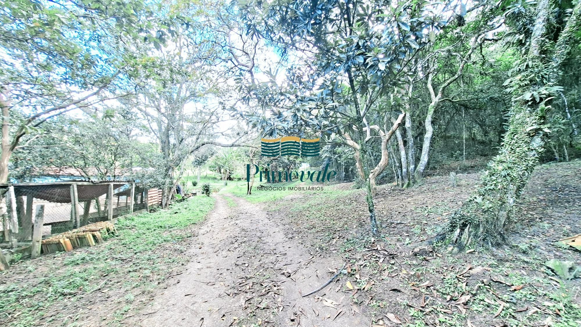Chácara, 5 quartos, 11 hectares - Foto 26