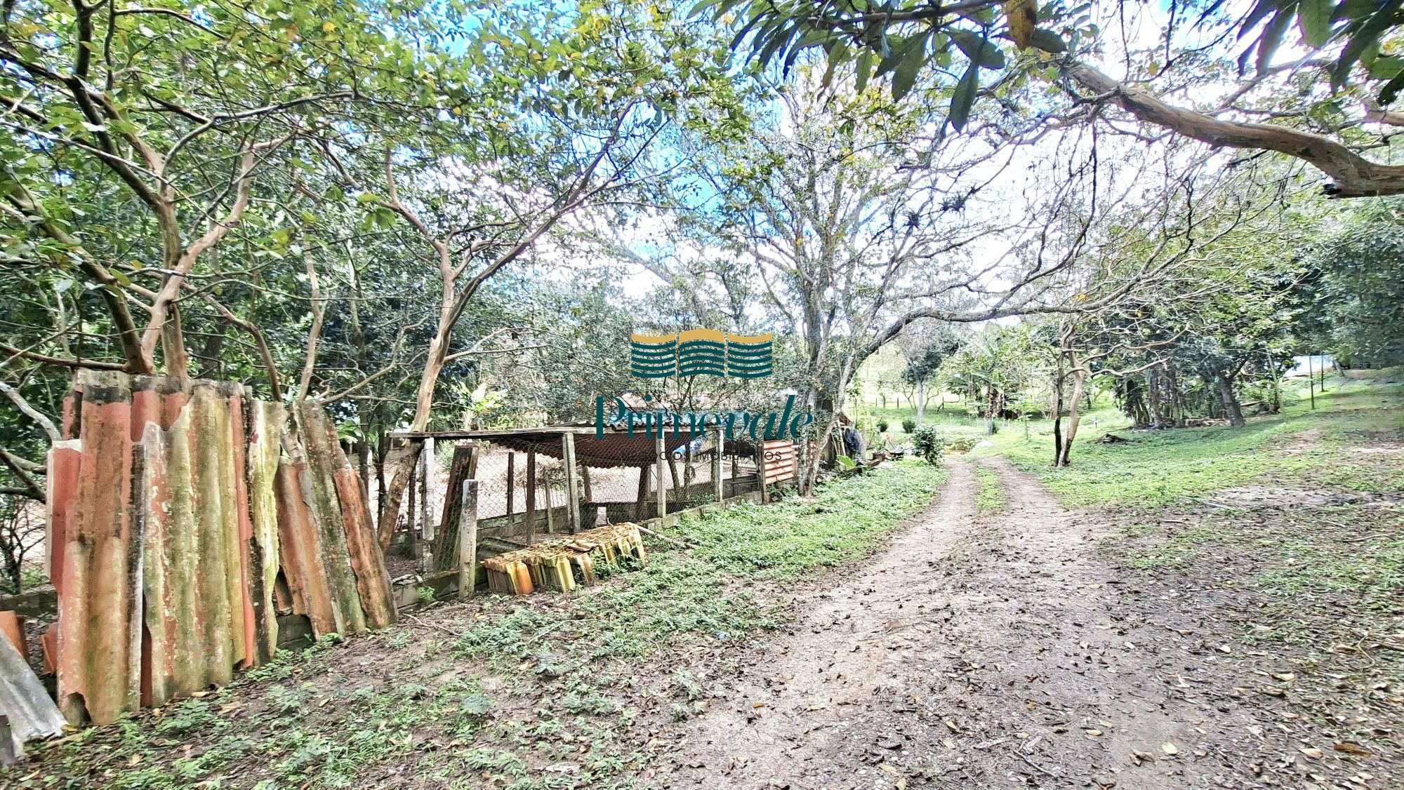 Chácara, 5 quartos, 11 hectares - Foto 25