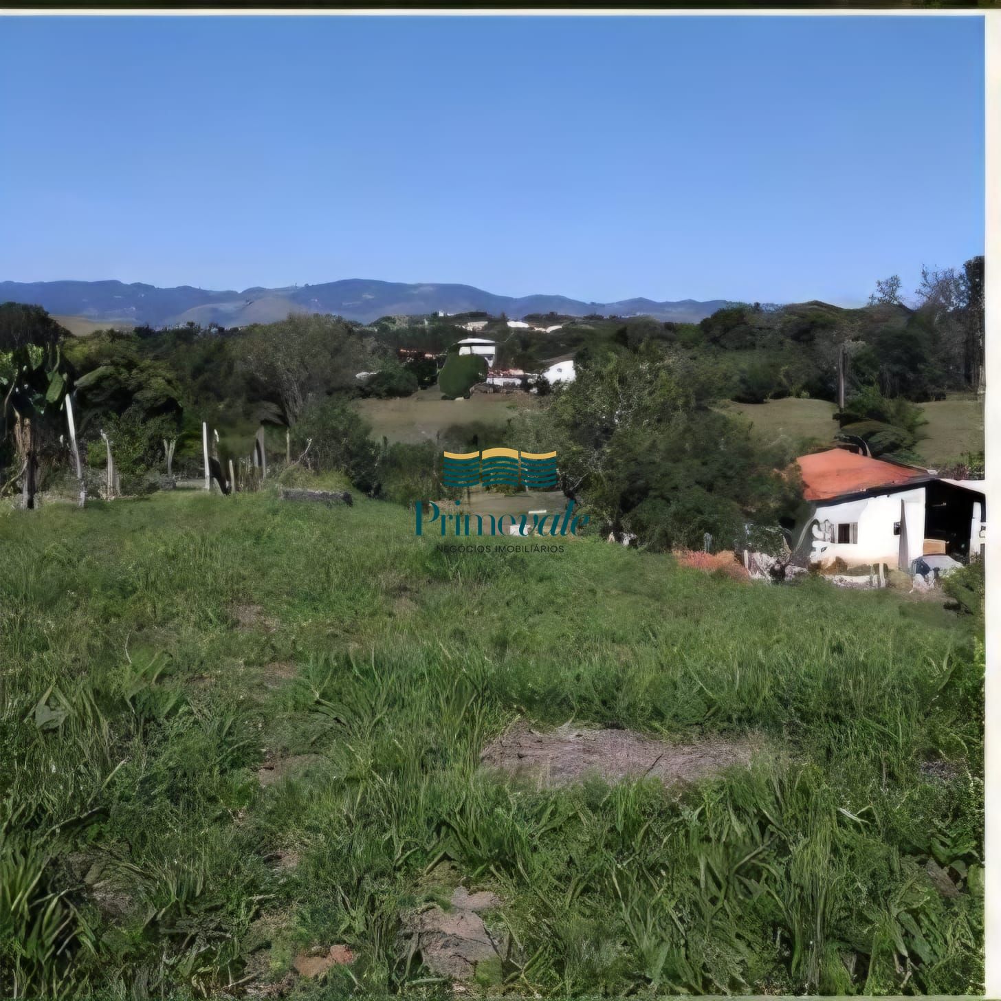 Sítio, 1 quarto, 1084 m² - Foto 4