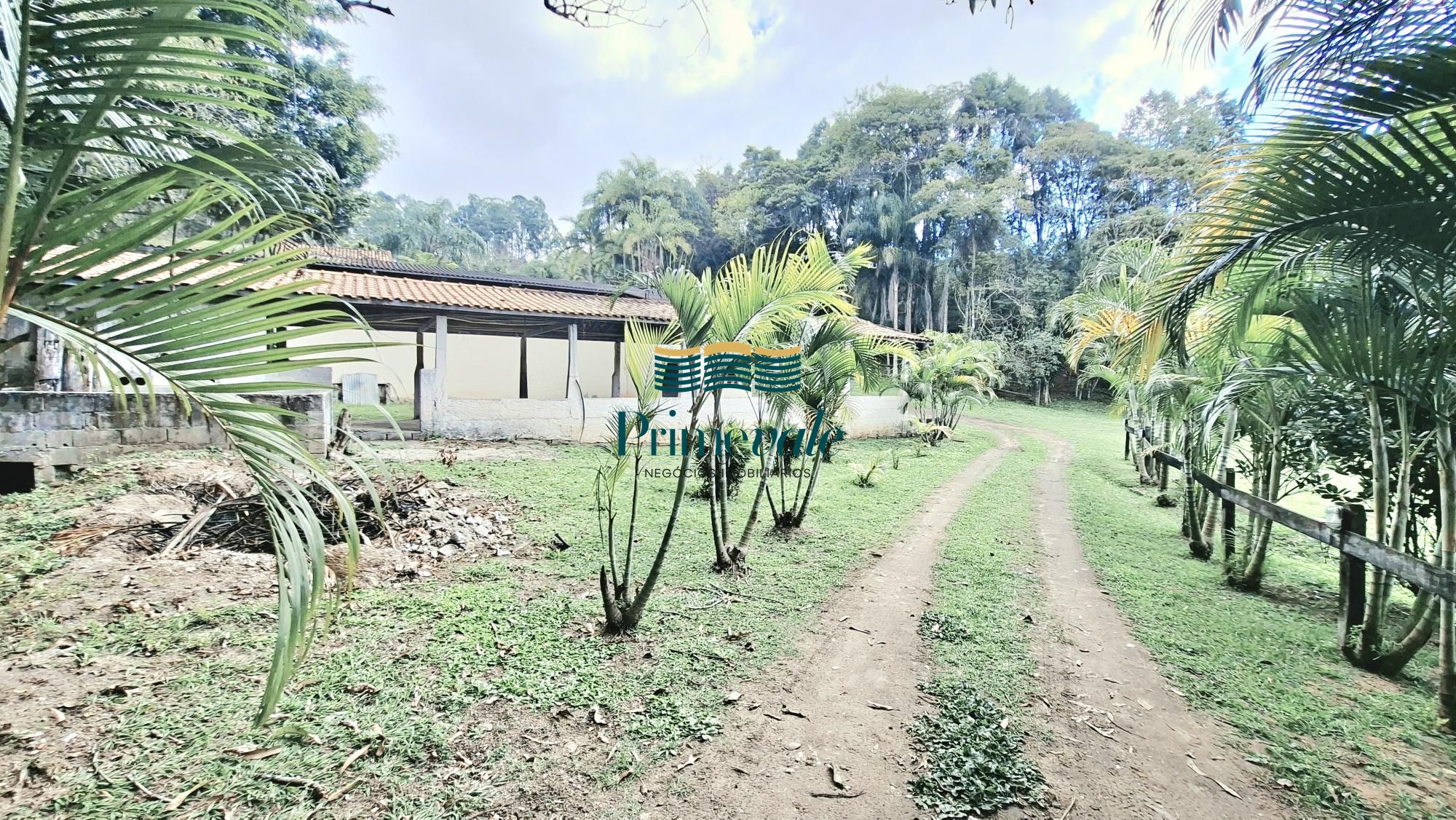 Chácara, 5 quartos, 11 hectares - Foto 12