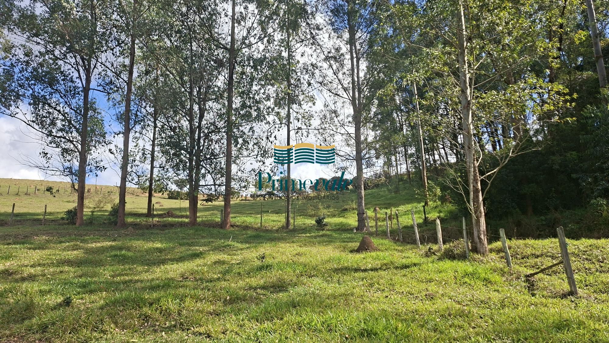 Chácara, 5 quartos, 11 hectares - Foto 38