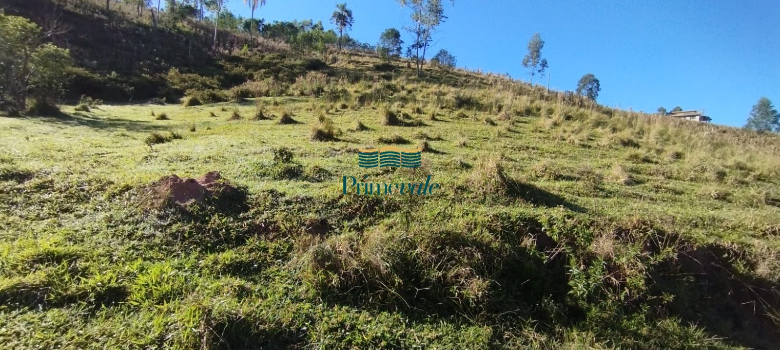 Chácara, 2 hectares - Foto 22