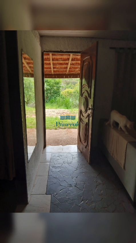 Sítio, 3 quartos, 9500 m² - Foto 3