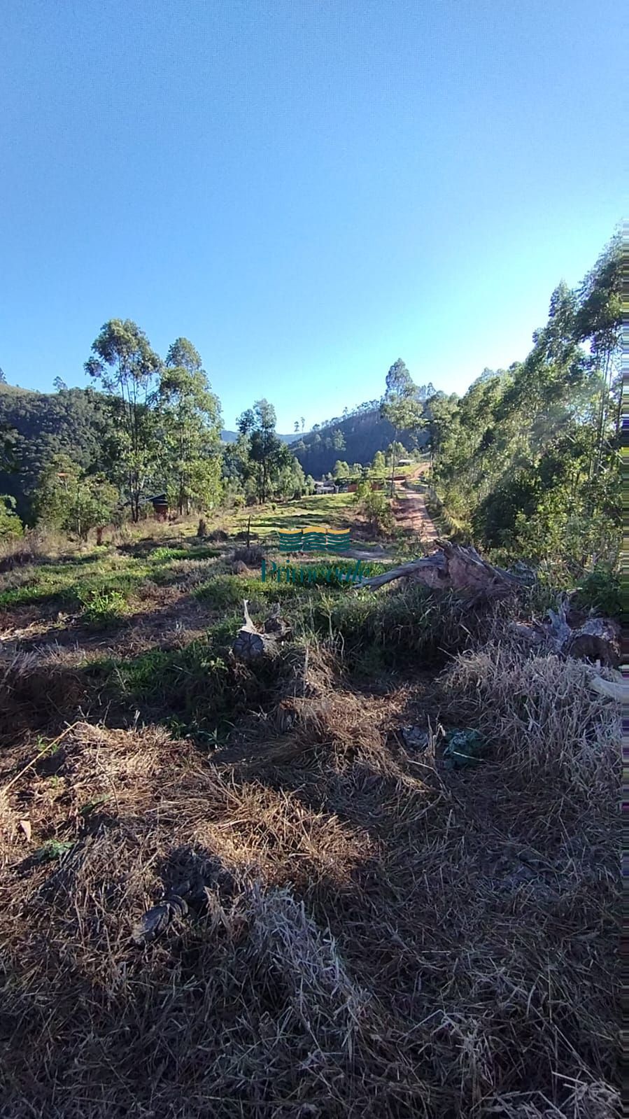 Chácara, 2 hectares - Foto 15