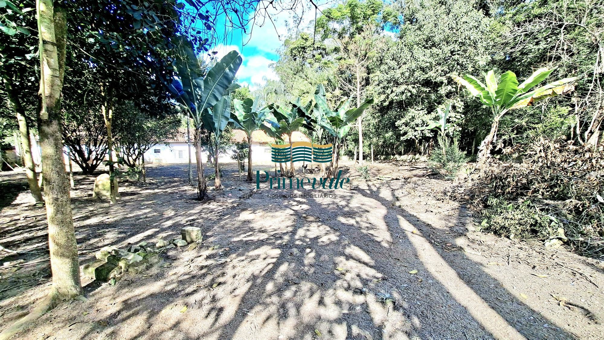 Chácara, 5 quartos, 11 hectares - Foto 31