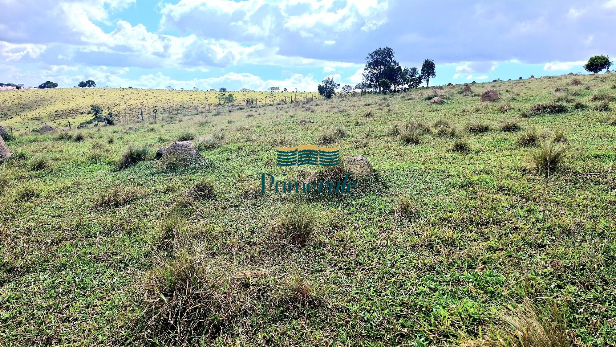 Chácara, 5 quartos, 11 hectares - Foto 48