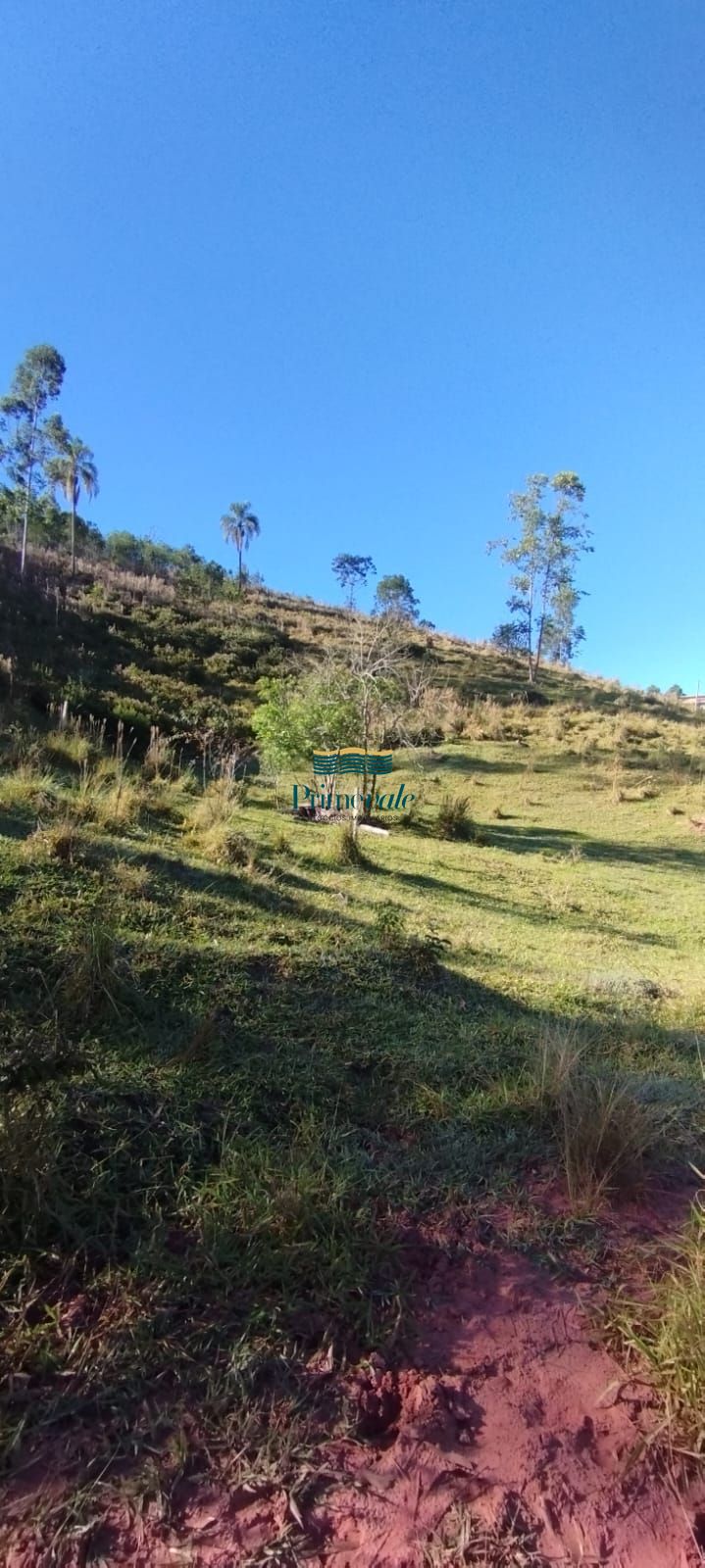 Chácara, 2 hectares - Foto 10