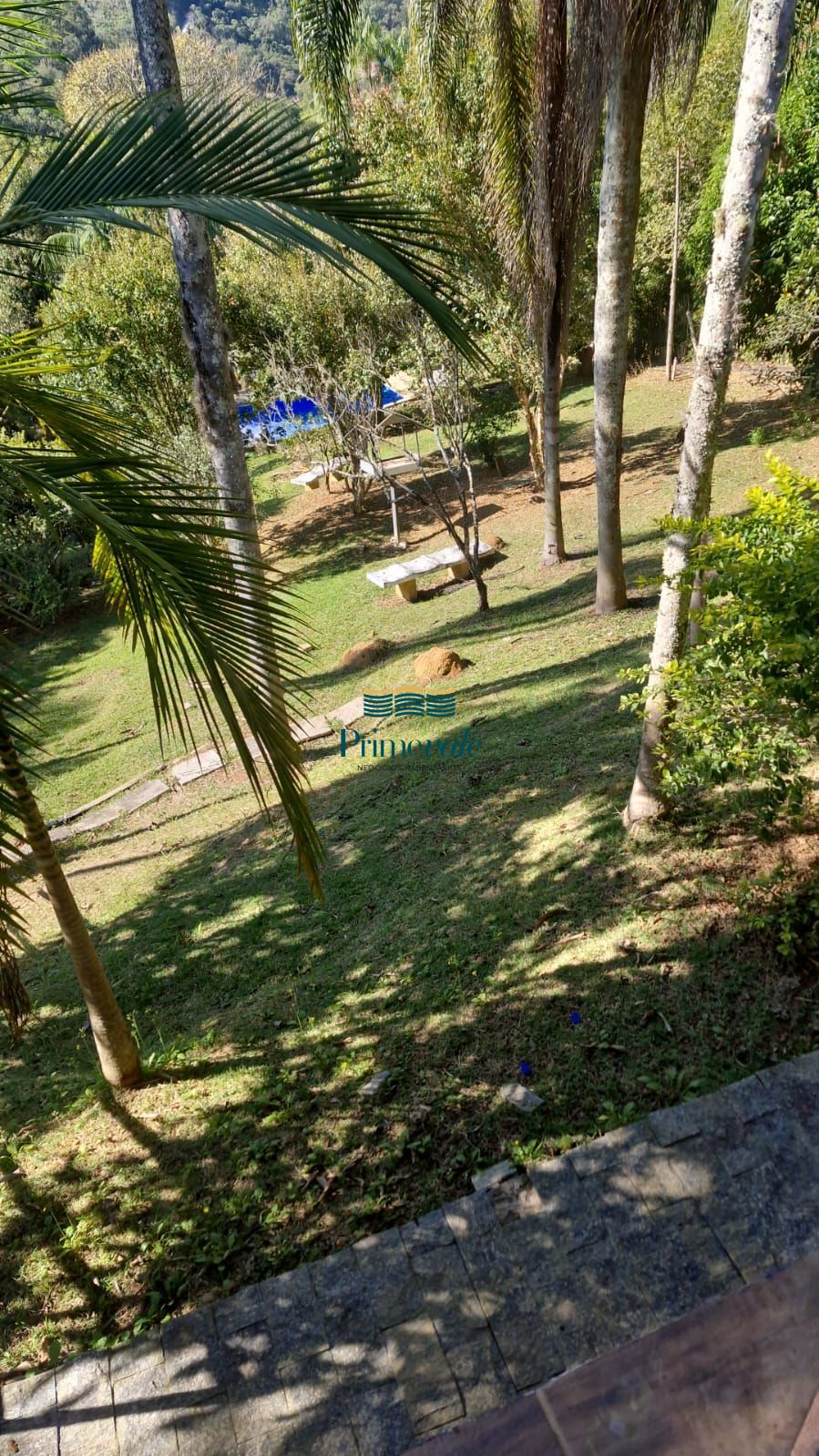 Sítio, 3 quartos, 5420 m² - Foto 2