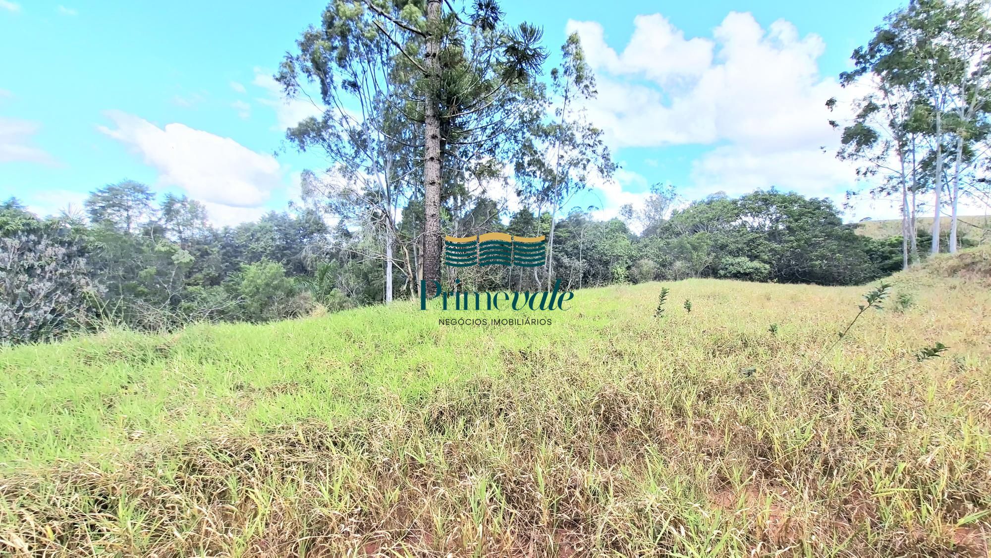 Chácara, 5 quartos, 11 hectares - Foto 24