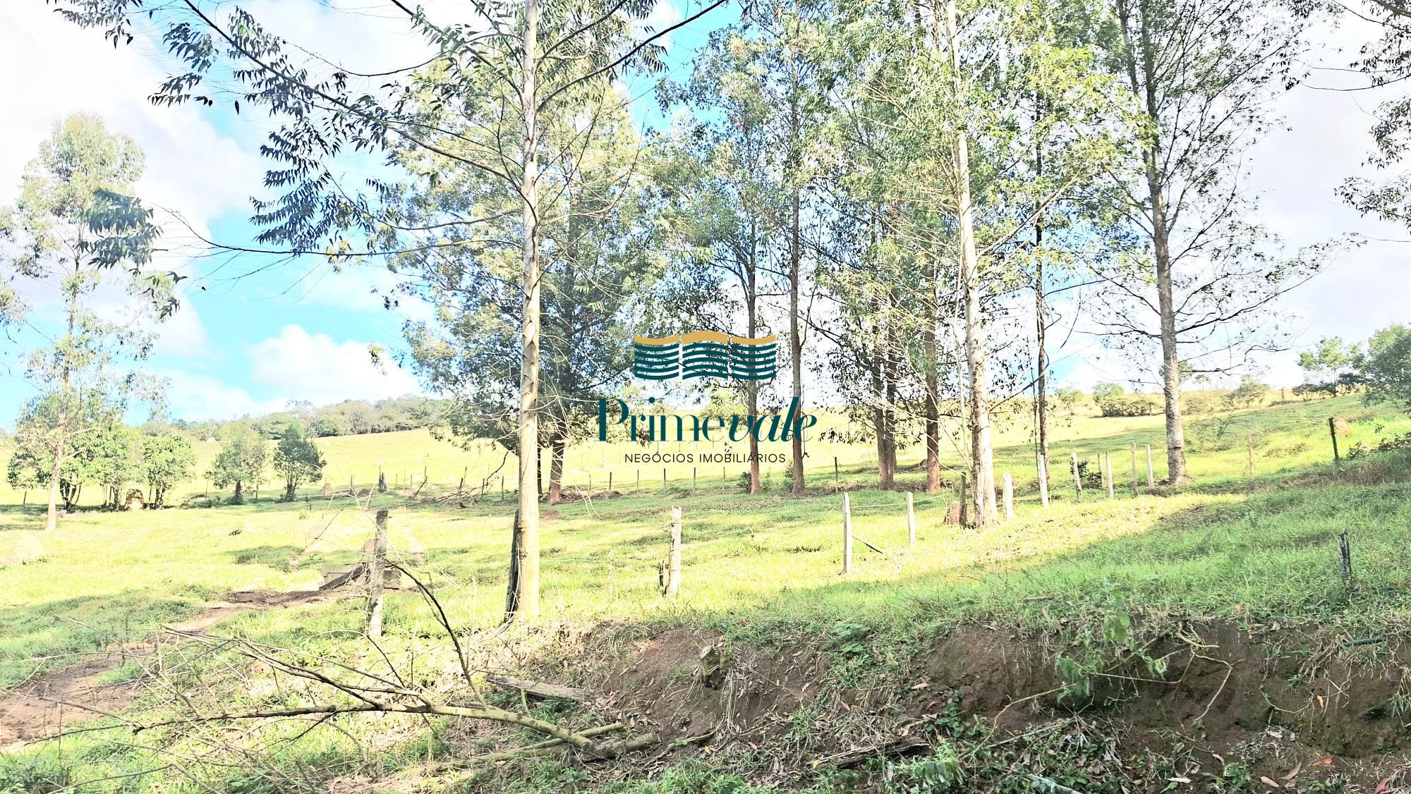 Chácara, 5 quartos, 11 hectares - Foto 34