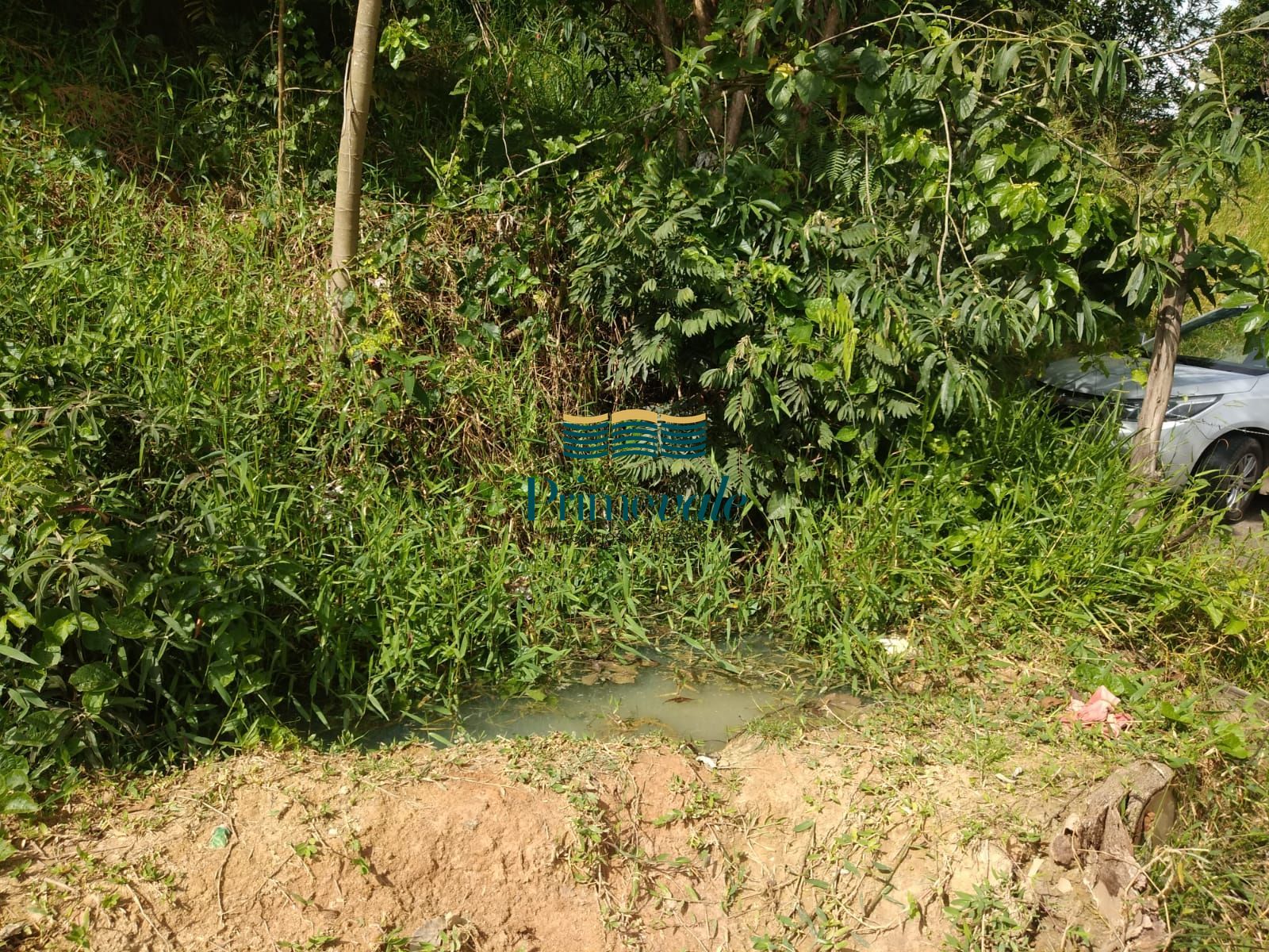 Terreno, 1000 m² - Foto 2