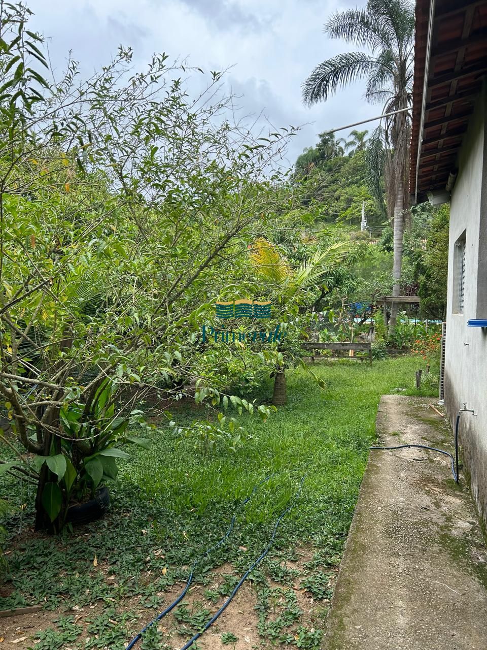 Chácara, 4 quartos, 1534 m² - Foto 18