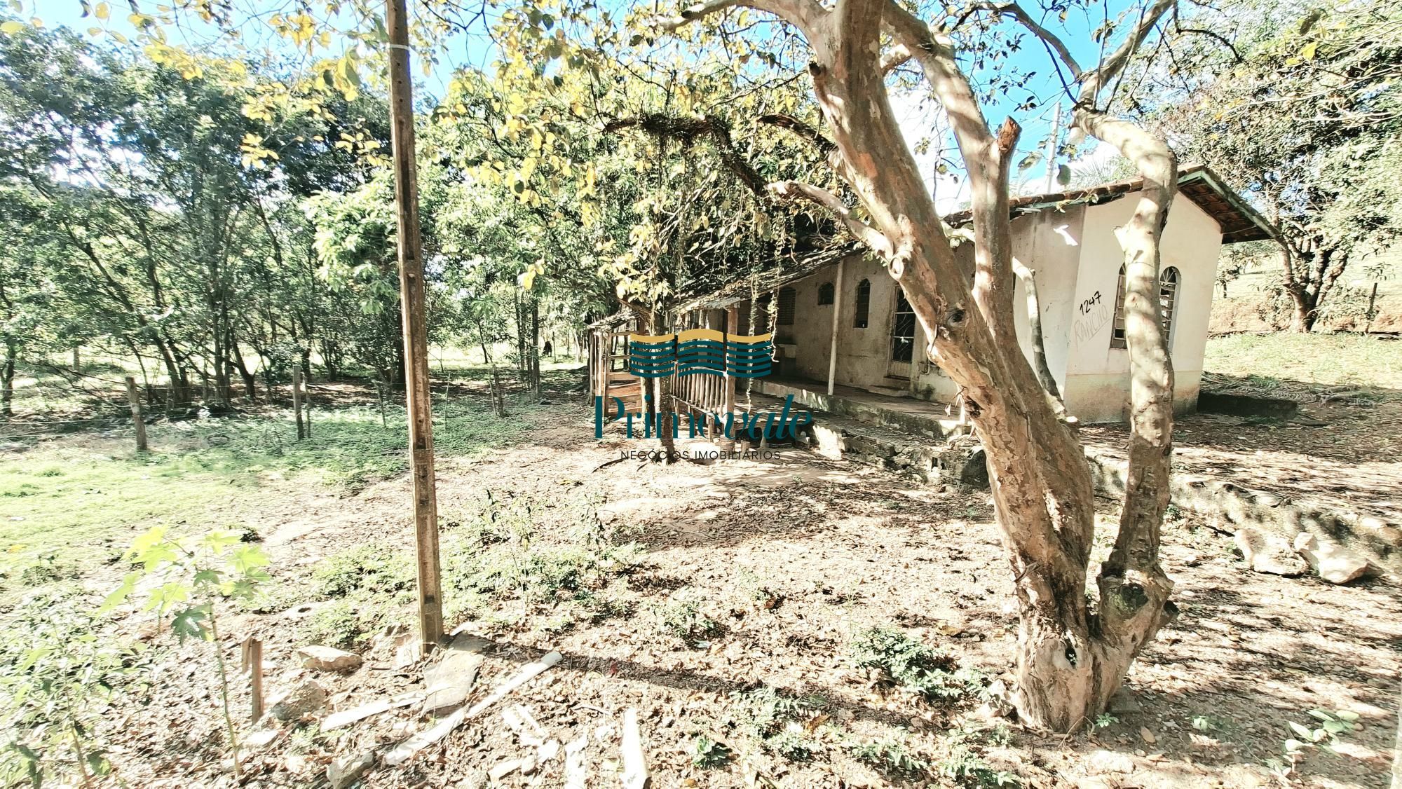 Chácara, 5 quartos, 11 hectares - Foto 17