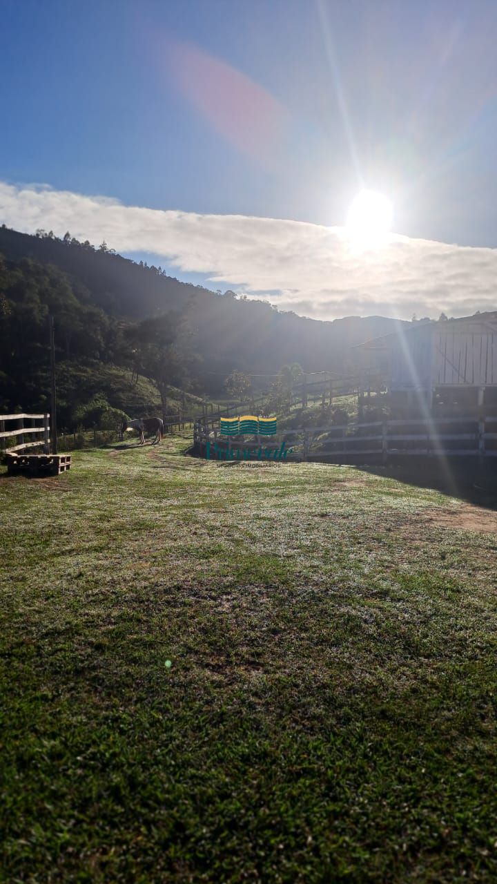 Sítio, 3 quartos, 4200 m² - Foto 1