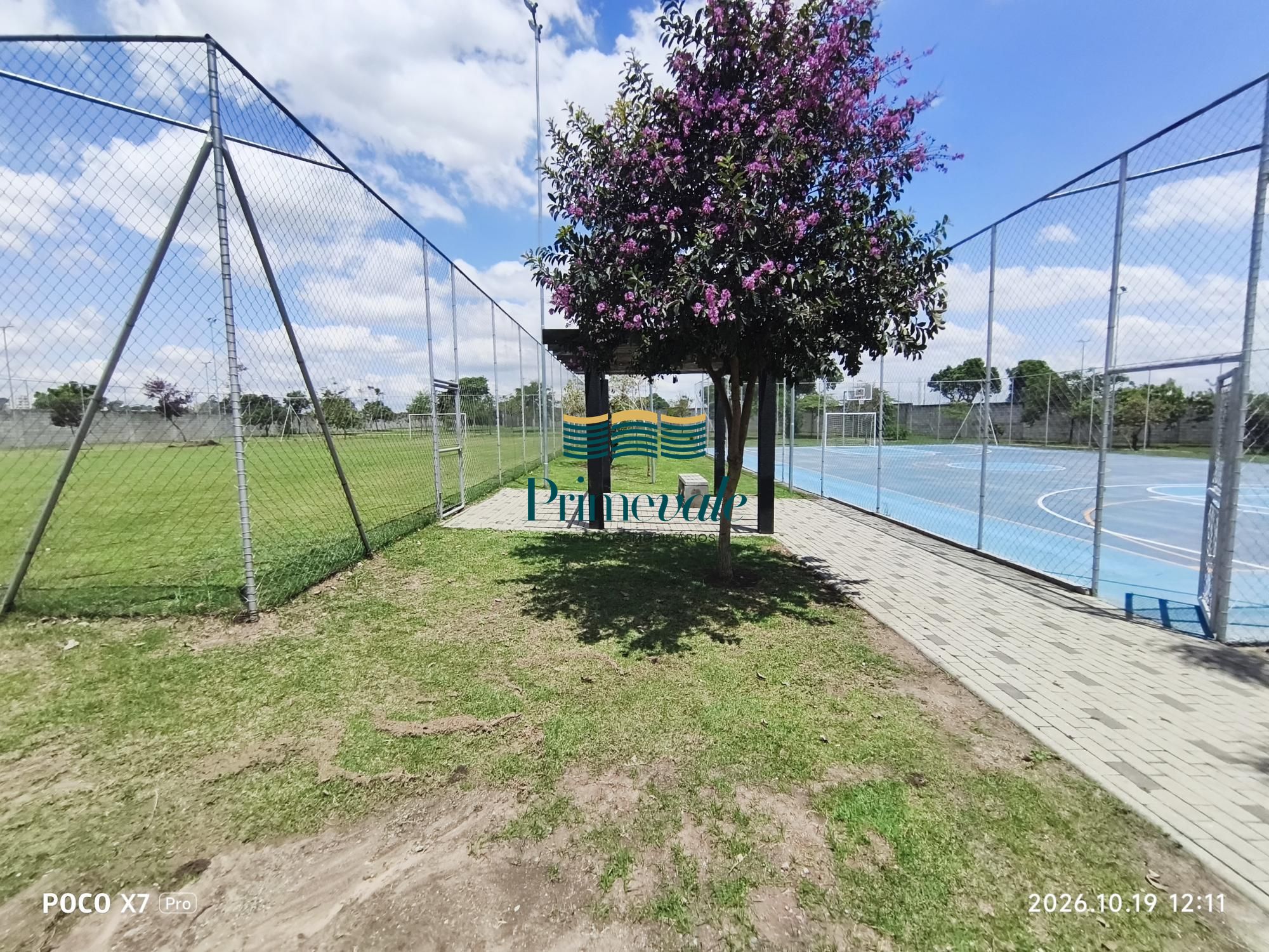 Terreno, 250 m² - Foto 11